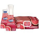 Clorox All-Purpose & Bathroom Cleaner Bundle