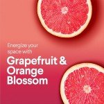 Clorox All-Purpose & Bathroom Cleaner Bundle