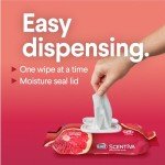 Clorox All-Purpose & Bathroom Cleaner Bundle