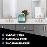 Simple Green Pro 1 Gallon Bathroom Cleaner