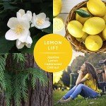 PINALEN Max Aromas Lemon Lift Cleaner - 28 fl oz