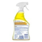 Lysol Multi-Purpose Cleaner Spray, Lemon & Island Breeze