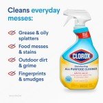 Clorox All-Purpose & Bathroom Cleaner Bundle