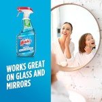 Windex Glass Cleaner Spray Bottle, 23 Fl Oz