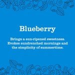 MRS. MEYER'S Blueberry Multi-Surface Cleaner, 3 Pack