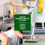 PINALEN 2X Max Aromas Multipurpose Cleaner - Pine Scent