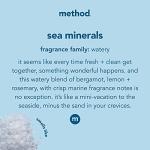 Method Sea Minerals Gel Hand Soap, 12 fl oz