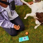 Sensitive Skin Wet Wipes Travel Case - 20 Count