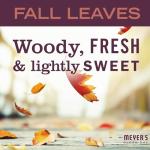 Mrs. Meyer's Multi-Surface Cleaner, Fall Leaves 16 oz