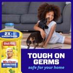 Mr. Clean Lemon All-Purpose Floor Cleaner 41oz