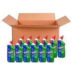 Clorox Toilet Bowl Cleaner with Bleach, Fresh 24oz