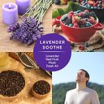PINALEN Max Power Lavender Dreams Multipurpose Cleaner