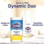 Clorox Lemon & Coconut Cleaning Bundle - 4 Items