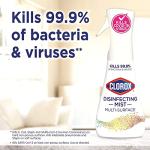 Clorox Cleaning Bundle with Citrus Scents