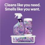 Clorox Scentiva Lavender & Jasmine Disinfecting Spray 6-Pack