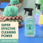Aunt Fannie's Multi-Surface Cleaner Spray, Eucalyptus