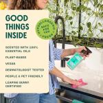 Aunt Fannie's Multi-Surface Cleaner Spray, Eucalyptus