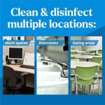 Clorox EcoClean Plant-Based Disinfecting Wipes, 75 Ct