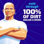 Mr. Clean 2X Multi Surface Cleaner with Unstopables