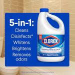 Clorox Disinfecting Bleach, 81 oz Bottle