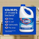 Clorox Disinfecting Bleach, 81 oz Bottle