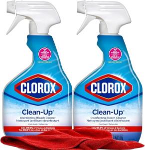 Clorox Multi-Surface Bleach Spray 2-Pack with Cloth