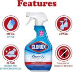 Clorox Multi-Surface Bleach Spray 2-Pack with Cloth