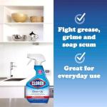 Clorox Multi-Surface Bleach Spray 2-Pack with Cloth