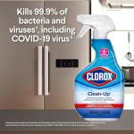 Clorox Multi-Surface Bleach Spray 2-Pack with Cloth