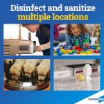 CloroxPro Daily Disinfectant & Sanitizer, 32 oz 12-Pack