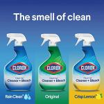 Clorox Clean-Up Bleach Cleaner Spray, 32 oz