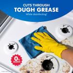 Lysol Multi-Purpose Cleaner Spray - 4 Pack