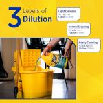 Zep Neutral pH Industrial Floor Cleaner 1 Gallon