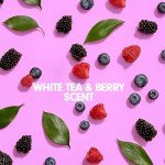 Softsoap Antibacterial Hand Soap Refill - 50 Ounce