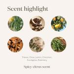 Thieves All-Purpose Plant-Based Household Cleaner 14.4 oz