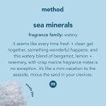 Method Sea Minerals Foaming Hand Soap, 10 oz