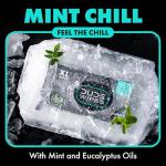 DUDE Wipes - Flushable Mint Chill Wipes, 48 Count
