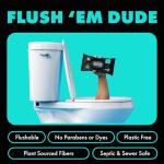DUDE Wipes - Flushable Mint Chill Wipes, 48 Count