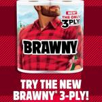 Brawny Tear-A-Square Paper Towels, 12 Double Rolls