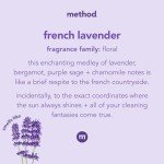 Method Gel Hand Wash - French Lavender, 12 oz (6-pack)
