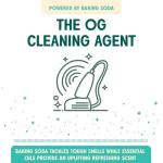 Aunt Fannie's Lemon Carpet Deodorizer Powder, 16 Oz