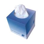 Facial Tissue Cube Box, 2-Ply, 85 Sheets
