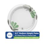 Dixie 8.5 Inch White Paper Plates, 300 Count