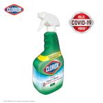Clorox All-Purpose Cleaner with Bleach, 32 oz
