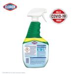 Clorox All-Purpose Cleaner with Bleach, 32 oz