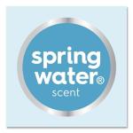 Dial Antibacterial Liquid Hand Soap, Spring Water, 1 Gal