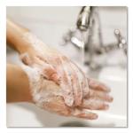 Dial Antibacterial Liquid Hand Soap, Spring Water, 1 Gal