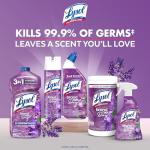 Lysol Disinfectant Spray, Lavender & Cotton Blossom, 19 Oz