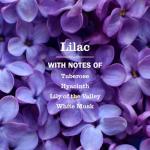 Mrs. Meyer's Clean Day Lilac Hand Soap, 12.5 oz