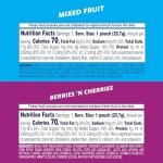 Fruit Snacks Variety Pack - Bulk Pack of 60